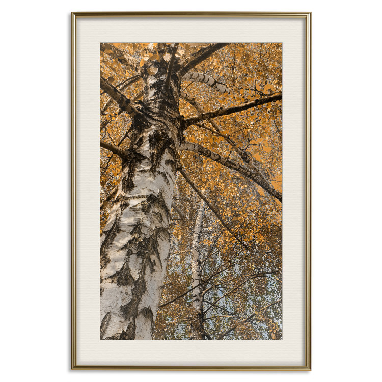 Wall Poster Autumn Palette - autumn landscape of trees with golden leaves 131771 additionalImage 20