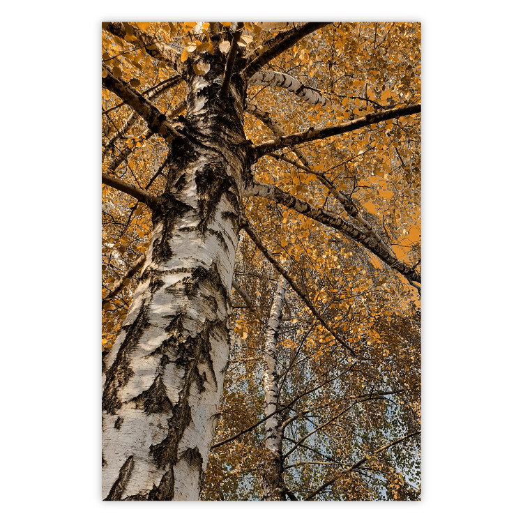 Wall Poster Autumn Palette - autumn landscape of trees with golden leaves 131771
