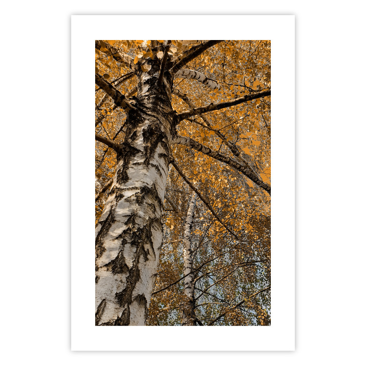 Wall Poster Autumn Palette - autumn landscape of trees with golden leaves 131771 additionalImage 25