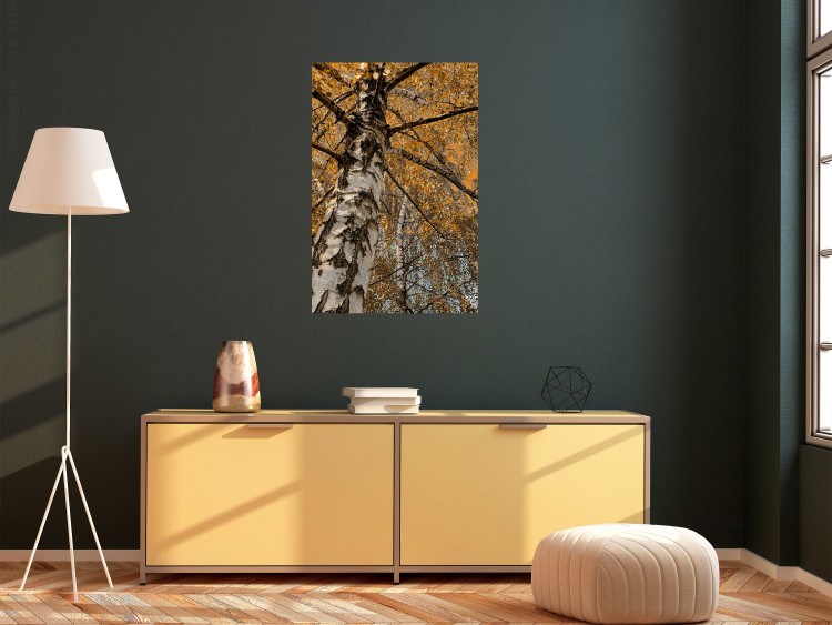 Wall Poster Autumn Palette - autumn landscape of trees with golden leaves 131771 additionalImage 2