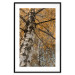 Wall Poster Autumn Palette - autumn landscape of trees with golden leaves 131771 additionalThumb 15
