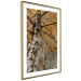 Wall Poster Autumn Palette - autumn landscape of trees with golden leaves 131771 additionalThumb 7