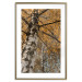 Wall Poster Autumn Palette - autumn landscape of trees with golden leaves 131771 additionalThumb 14
