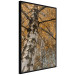 Wall Poster Autumn Palette - autumn landscape of trees with golden leaves 131771 additionalThumb 13
