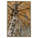 Wall Poster Autumn Palette - autumn landscape of trees with golden leaves 131771 additionalThumb 17