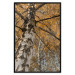 Wall Poster Autumn Palette - autumn landscape of trees with golden leaves 131771 additionalThumb 16