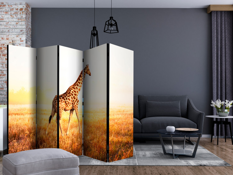 Room Separator Giraffe - Stroll II (5-piece) - animal walking through a sunny field 132571 additionalImage 4