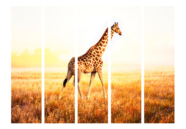 Room Separator Giraffe - Stroll II (5-piece) - animal walking through a sunny field 132571 additionalImage 3