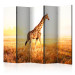 Room Separator Giraffe - Stroll II (5-piece) - animal walking through a sunny field 132571
