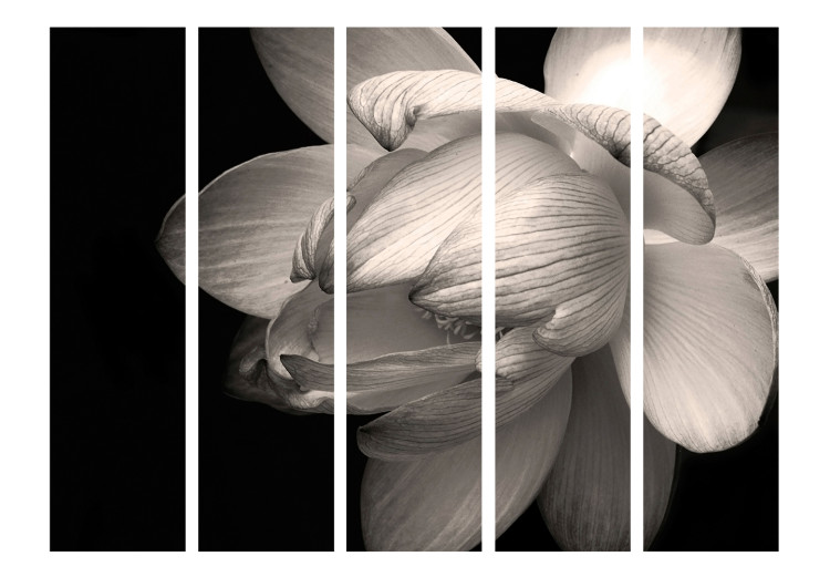 Room Divider Lotus Flower II (5-piece) - black and white composition with magnolia 132671 additionalImage 3