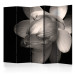 Room Divider Lotus Flower II (5-piece) - black and white composition with magnolia 132671