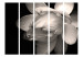 Room Divider Lotus Flower II (5-piece) - black and white composition with magnolia 132671 additionalThumb 3