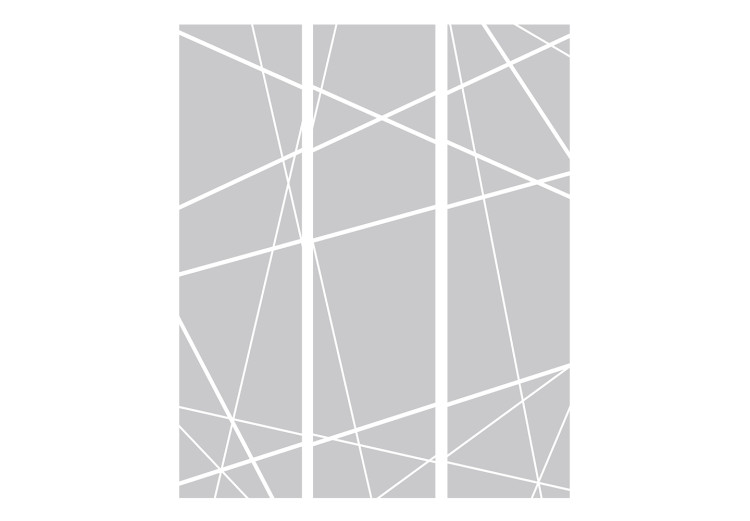 Room Divider Screen Modern Cobweb - lines forming figures in light gray color 133671 additionalImage 3