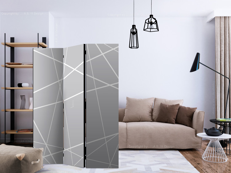 Room Divider Screen Modern Cobweb - lines forming figures in light gray color 133671 additionalImage 4