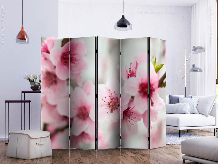 Room Divider Screen Blooming Cherry - Pink Blossoms II - cherry blossoms on a light background 133971 additionalImage 2