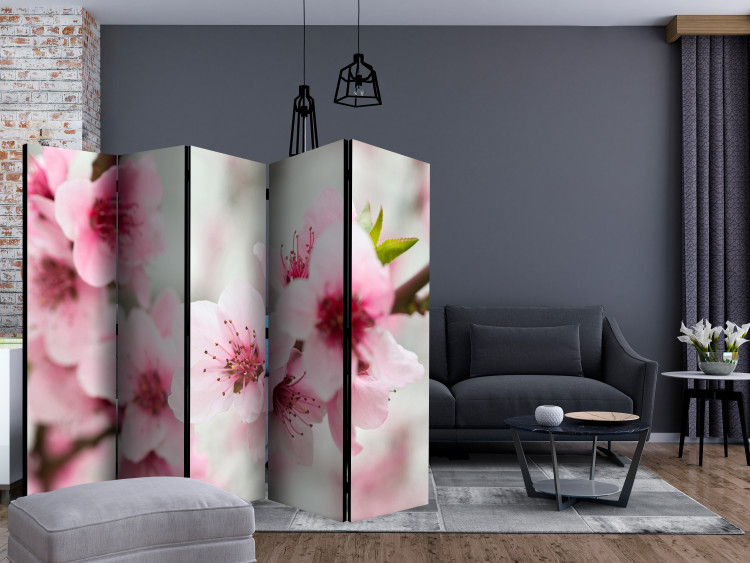 Room Divider Screen Blooming Cherry - Pink Blossoms II - cherry blossoms on a light background 133971 additionalImage 4