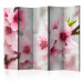Room Divider Screen Blooming Cherry - Pink Blossoms II - cherry blossoms on a light background 133971