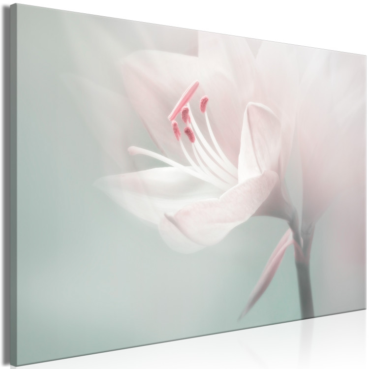 Canvas Art Print Mysterious Place (1-piece) Wide - flower in pastel color 134471 additionalImage 2