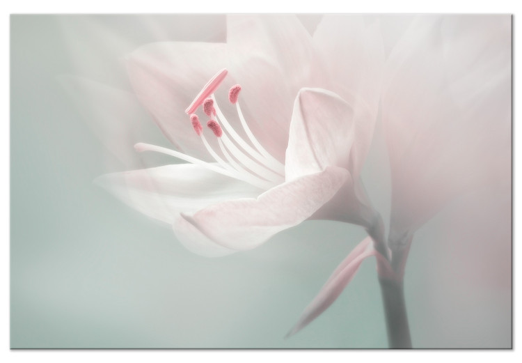 Canvas Art Print Mysterious Place (1-piece) Wide - flower in pastel color 134471