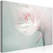 Canvas Art Print Mysterious Place (1-piece) Wide - flower in pastel color 134471 additionalThumb 2