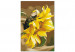 Paint by Number Kit Sunflower  138671 additionalThumb 3