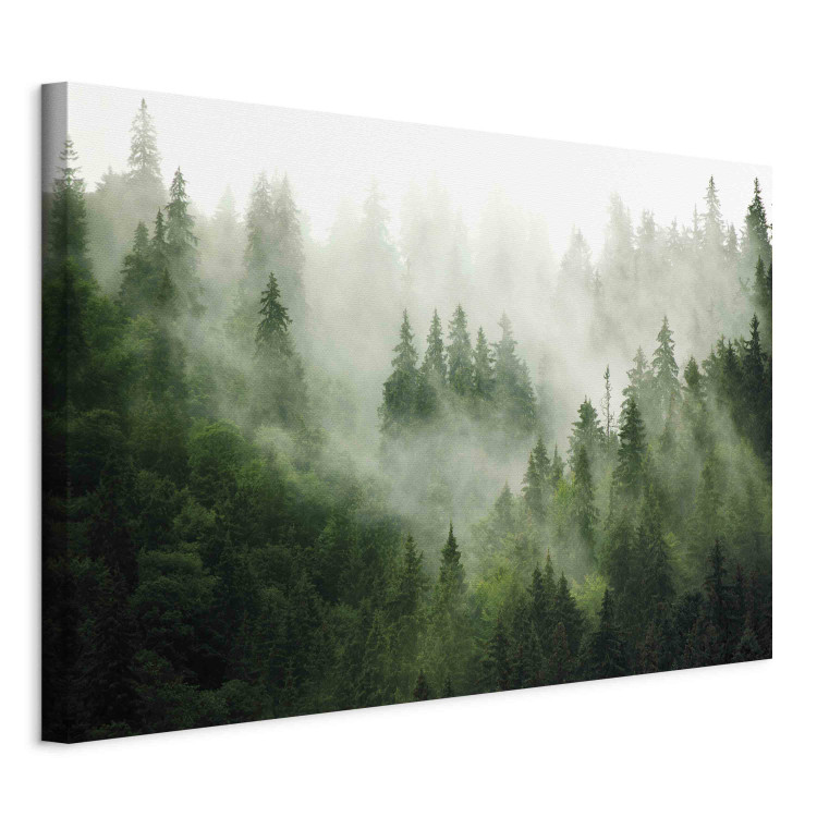 Large canvas print Mountain Forest - View of Green Coniferous Trees Covered With Fog [Large Format] 151171 additionalImage 2