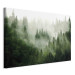 Large canvas print Mountain Forest - View of Green Coniferous Trees Covered With Fog [Large Format] 151171 additionalThumb 2
