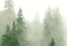 Large canvas print Mountain Forest - View of Green Coniferous Trees Covered With Fog [Large Format] 151171 additionalThumb 5