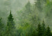 Large canvas print Mountain Forest - View of Green Coniferous Trees Covered With Fog [Large Format] 151171 additionalThumb 4
