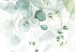 Canvas Pastel Leaves - Plants in Delicate Greens on a White Background 151771 additionalThumb 4