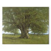 Reproduction Painting The Oak of Flagey, called Vercingetorix 157171