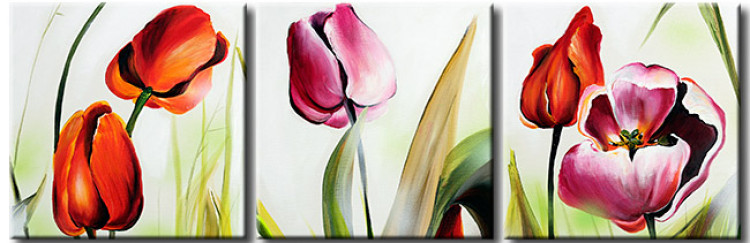 Canvas Art Print Tulips in the Sun (3-piece) - Colourful flowers on a solid background 48671