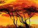 Canvas Print African savannah - a sunset full of warm colors 49271 additionalThumb 2