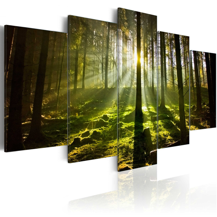 Canvas Print Spring silence 58671 additionalImage 2