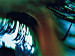Canvas Turquoise eye 58871 additionalThumb 2