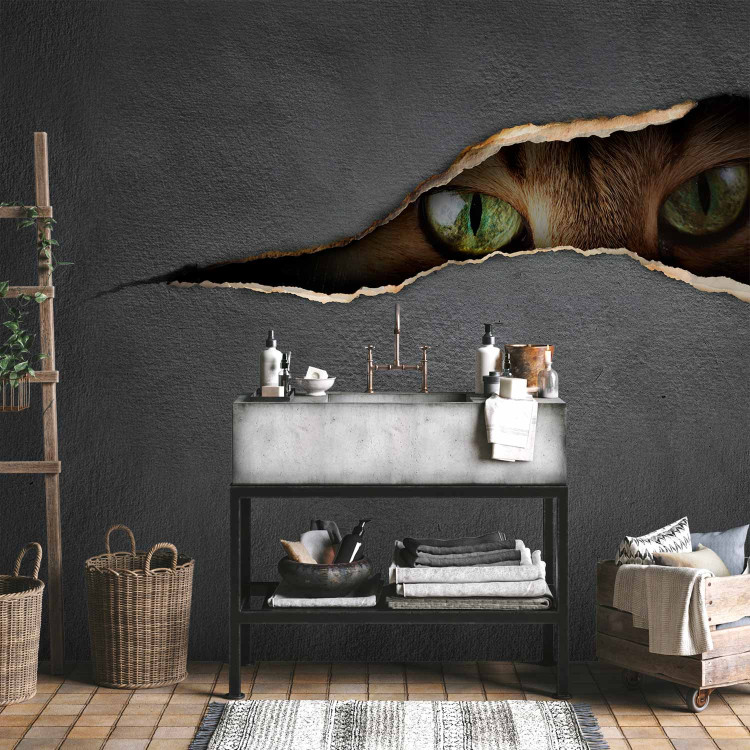 Wall Mural Cat's glance 61271 additionalImage 8