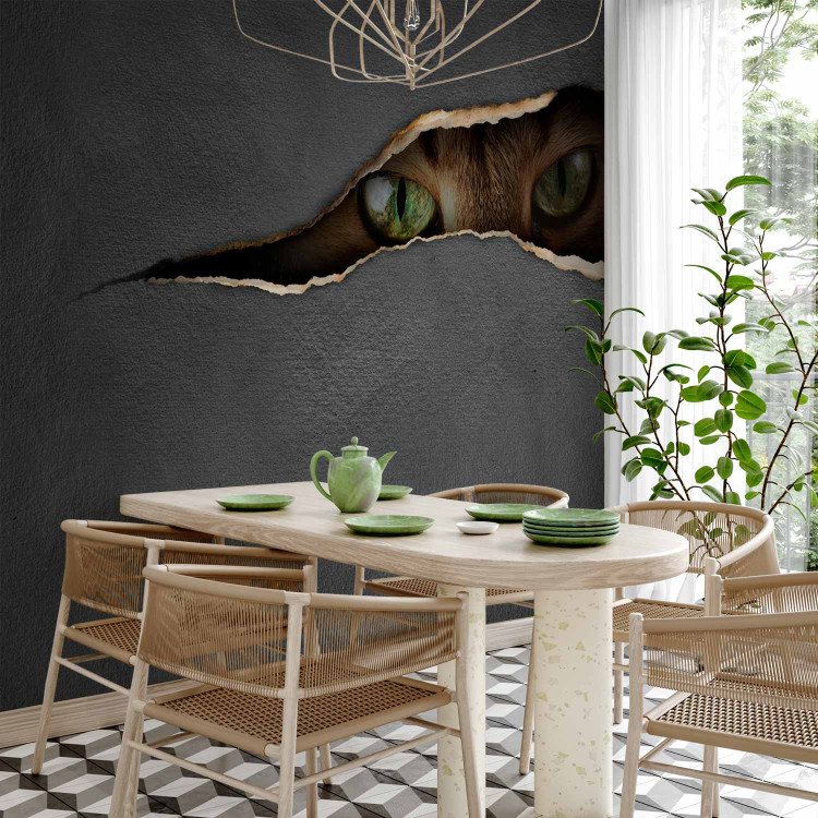 Wall Mural Cat's glance 61271 additionalImage 7