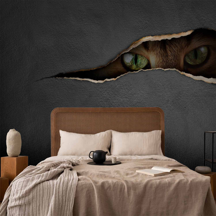 Wall Mural Cat's glance 61271 additionalImage 2