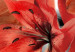 Canvas Flowery Battle 92971 additionalThumb 5