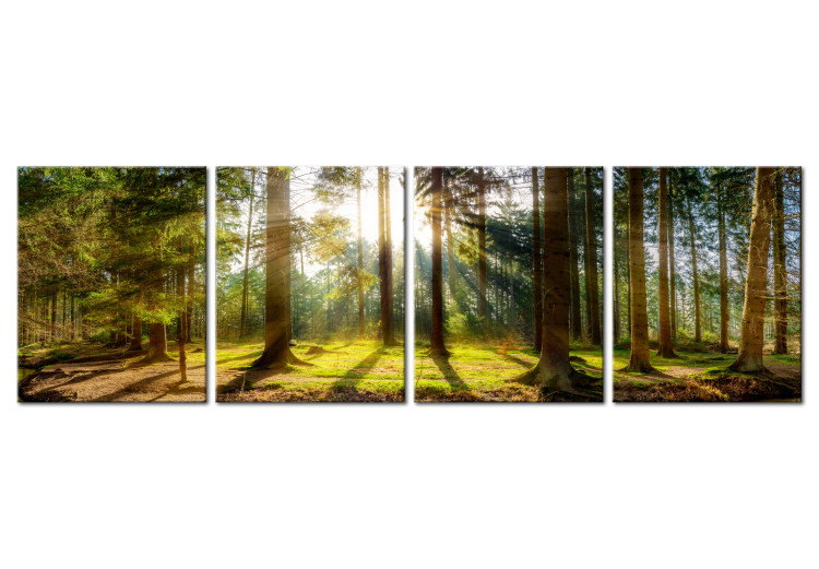 Canvas Art Print Morning Awakening (4-part) - Forest Landscape Nature Scene 107481