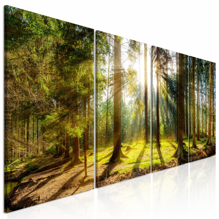 Canvas Art Print Morning Awakening (4-part) - Forest Landscape Nature Scene 107481 additionalImage 2