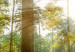 Canvas Art Print Morning Awakening (4-part) - Forest Landscape Nature Scene 107481 additionalThumb 5