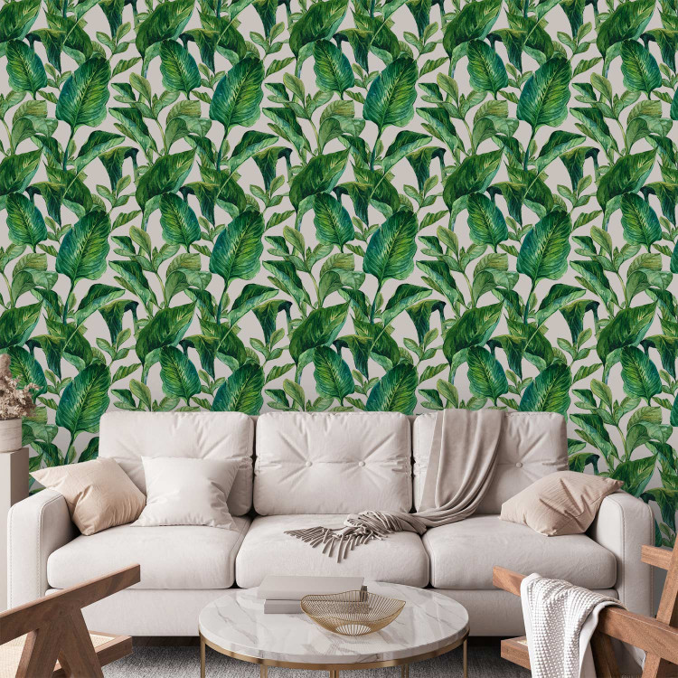 Wallpaper Tropical Paradise 113781