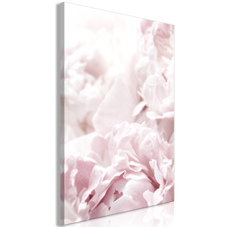 Canvas Print Beauty of Nature (1-part) - Peony Flowers in Shades of Pink 114981 additionalImage 2