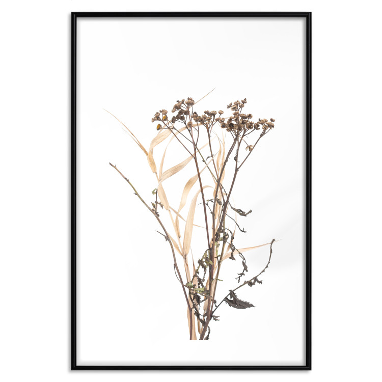 Wall Poster Chamomile - simple autumn composition with a botanical motif on a white background 119181 additionalImage 17