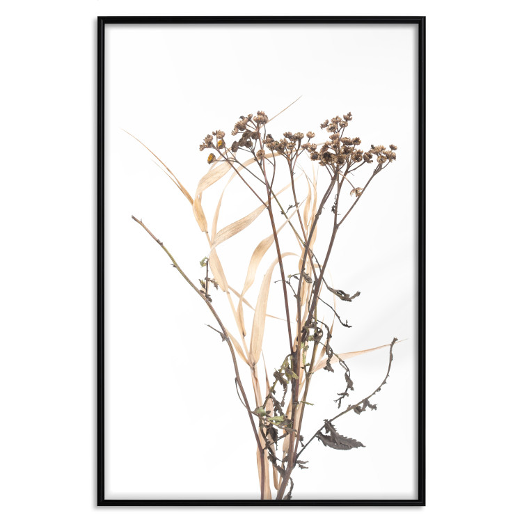 Wall Poster Chamomile - simple autumn composition with a botanical motif on a white background 119181 additionalImage 24