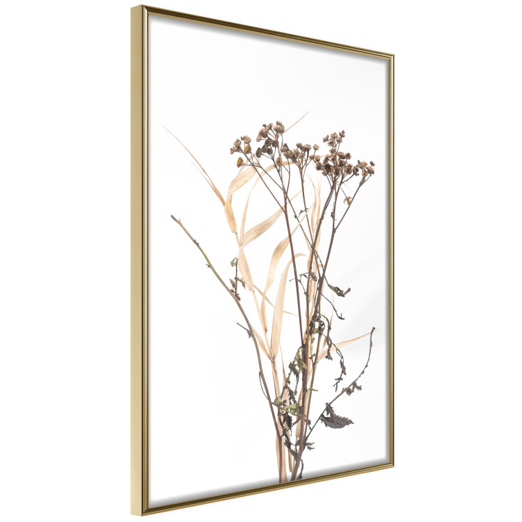 Wall Poster Chamomile - simple autumn composition with a botanical motif on a white background 119181 additionalImage 13