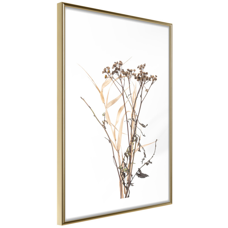 Wall Poster Chamomile - simple autumn composition with a botanical motif on a white background 119181 additionalImage 10