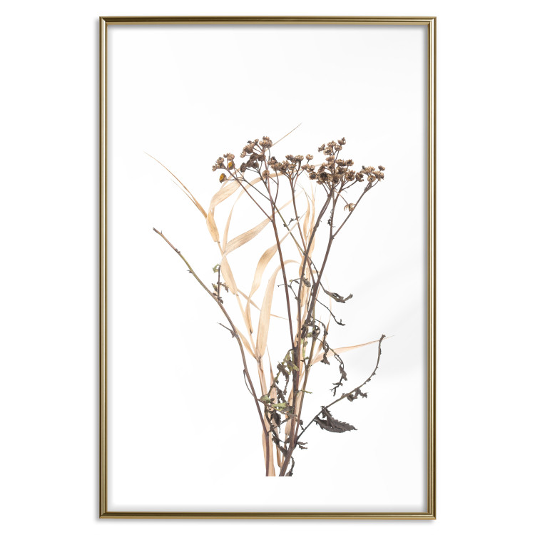Wall Poster Chamomile - simple autumn composition with a botanical motif on a white background 119181 additionalImage 16