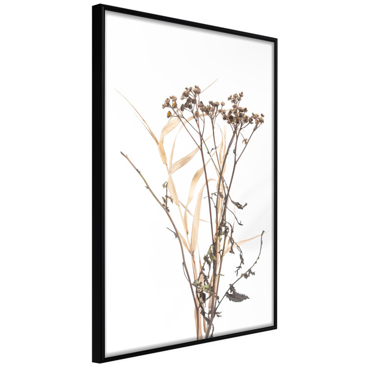 Wall art in set Flowery meadow 124914 additionalImage 4